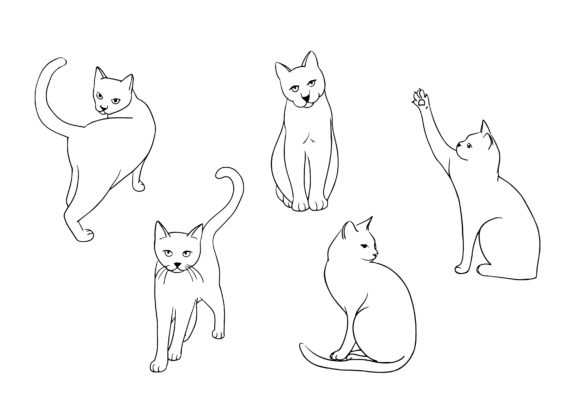 Cat Poseture Cartoon Doodle